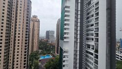 Angullia Park Residences @ Orchard (D10), Apartment #612061451